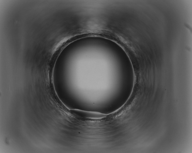 X0000095541214200712141517