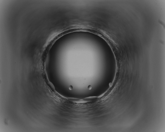 X0000095541215200712141517