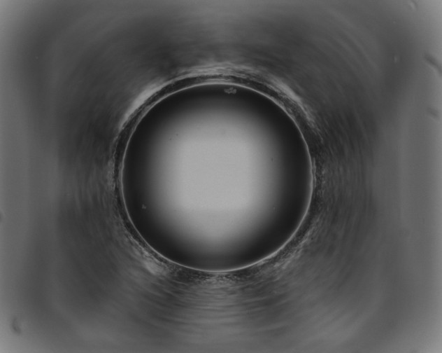 X0000095541216200712141517