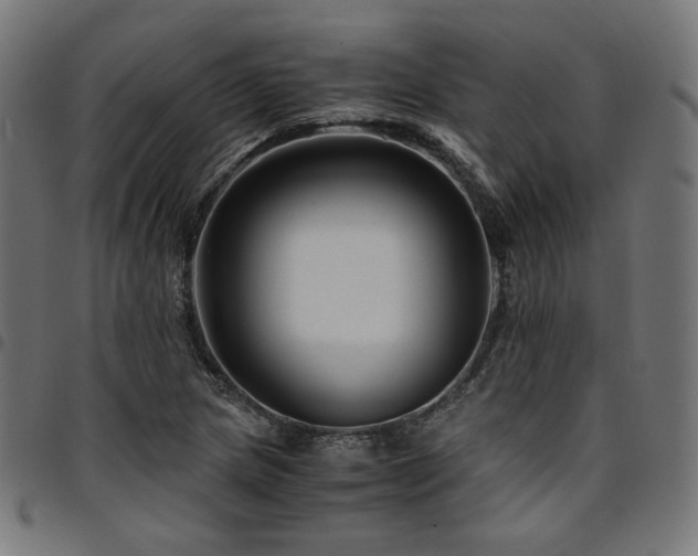 X0000095541217200712141517