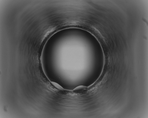 X0000095541218200712141517