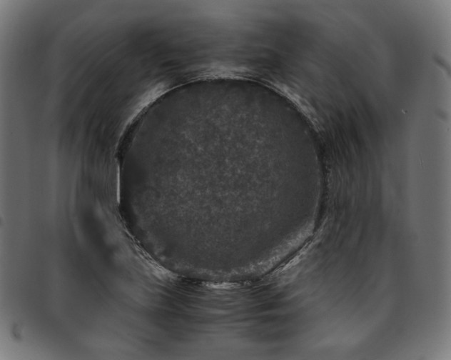 X0000095541219200712141517