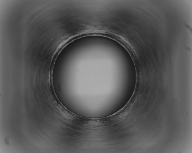 X0000095541220200712141517