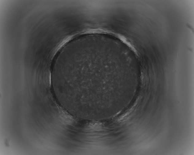 X0000095541221200712141517