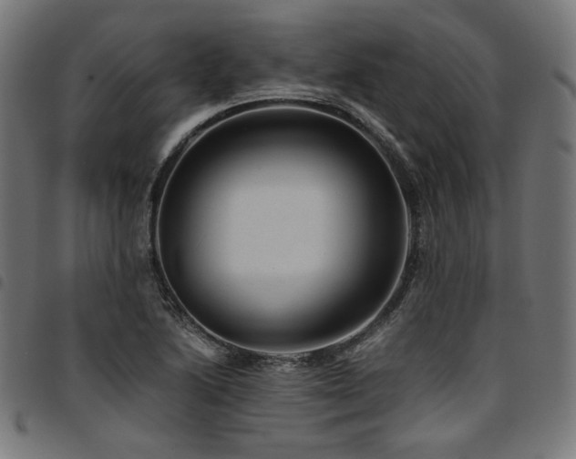 X0000095541222200712141517