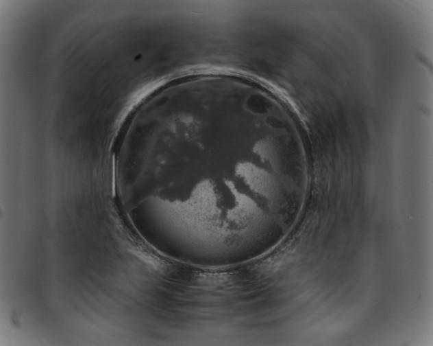 X0000095541223200712141517