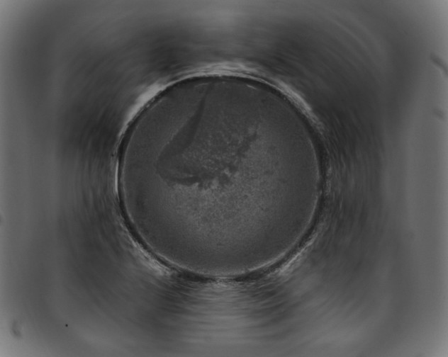 X0000095541224200712141517