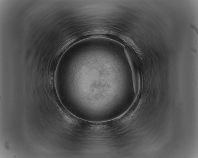 X0000095541225200712141517