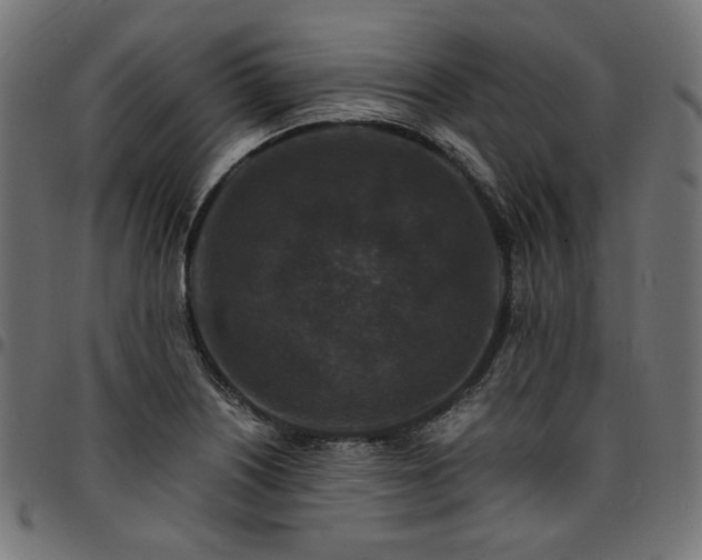 X0000095541226200712141517