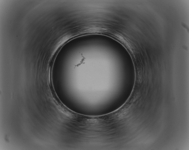 X0000095541227200712141517