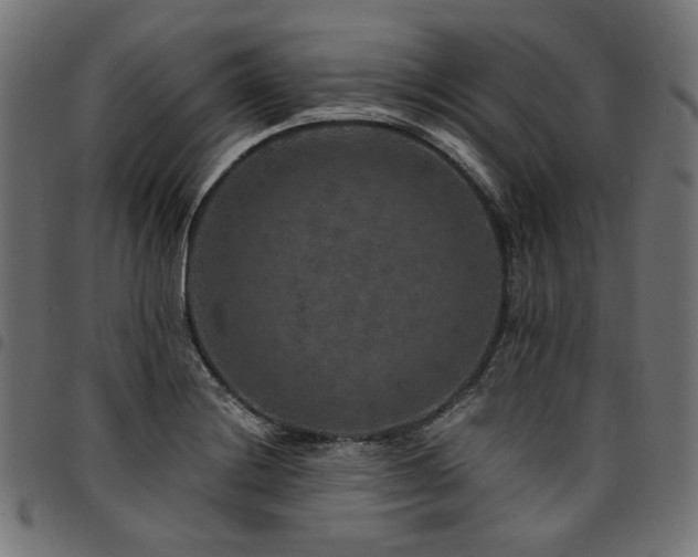 X0000095541228200712141517