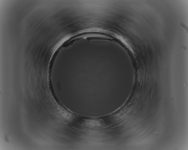 X0000095541229200712141517