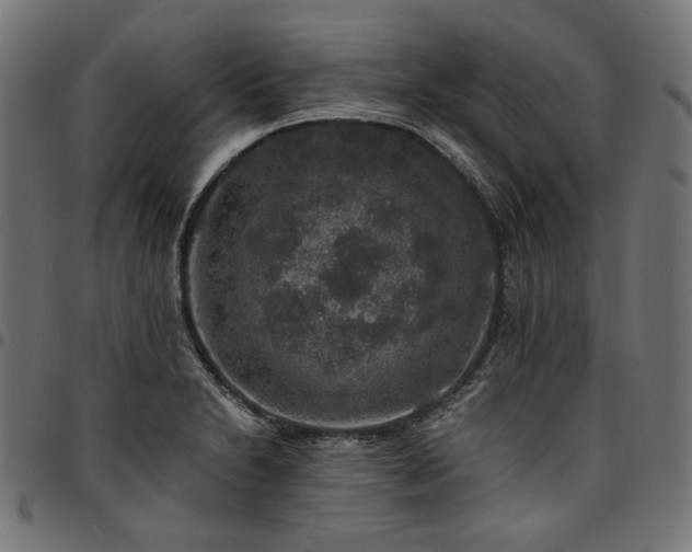 X0000095541230200712141517