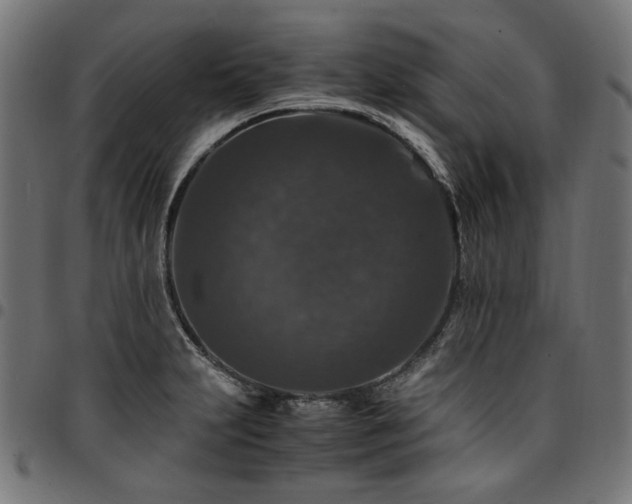 X0000095541231200712141517