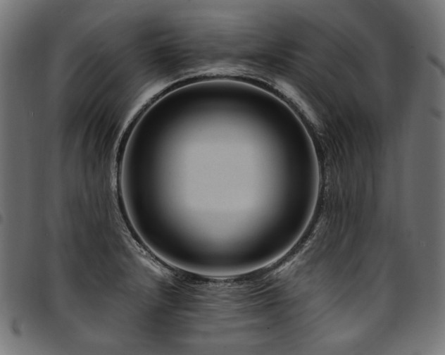 X0000095541232200712141517