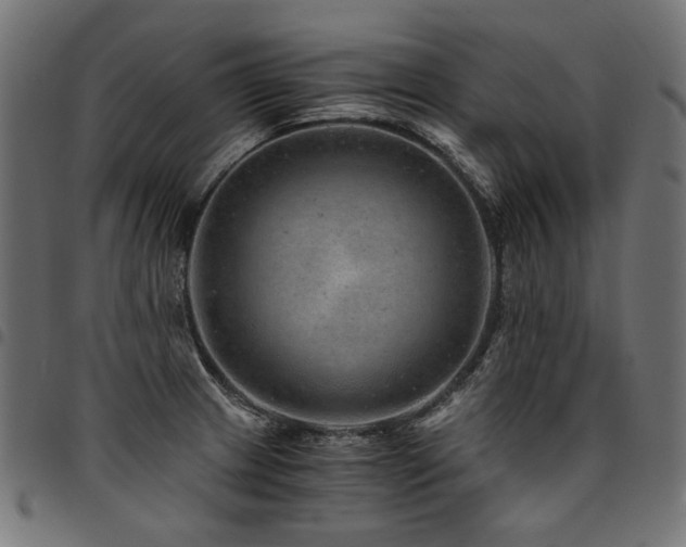 X0000095541233200712141517