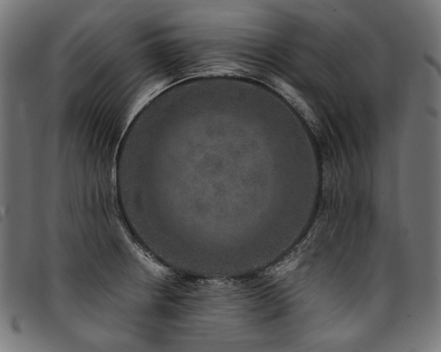 X0000095541234200712141517