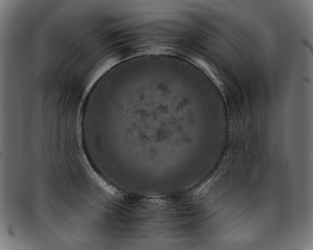 X0000095541235200712141517