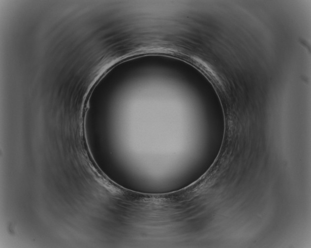 X0000095541236200712141517