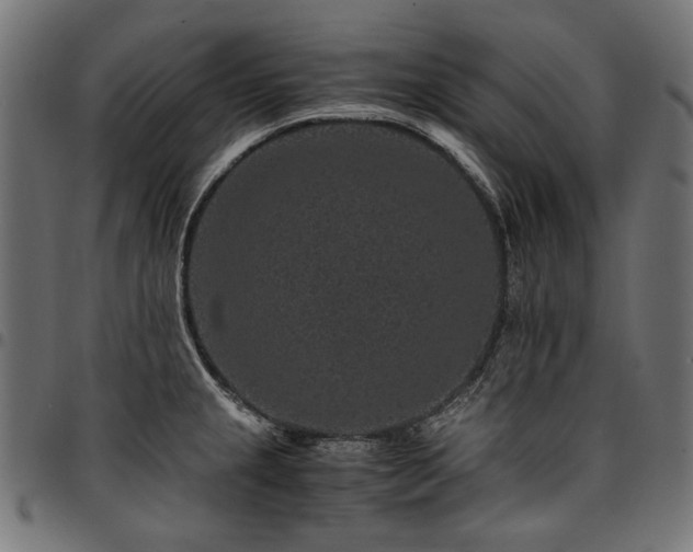 X0000095541237200712141517