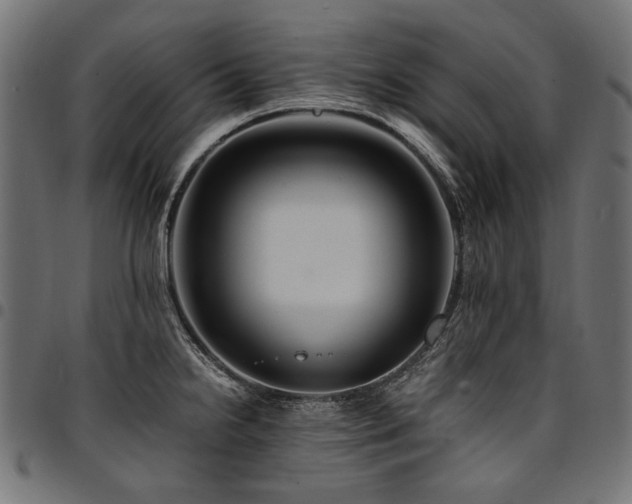 X0000095541238200712141517