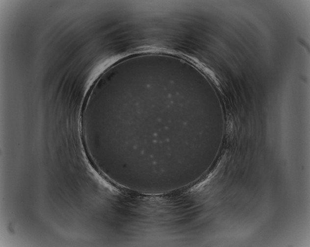 X0000095541239200712141517