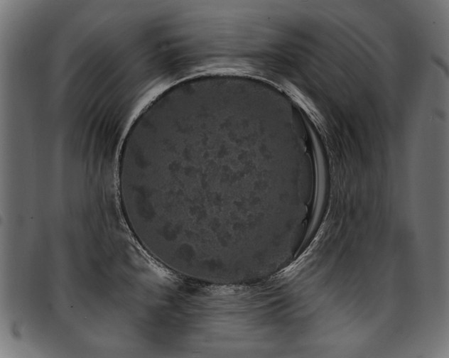 X0000095541240200712141517