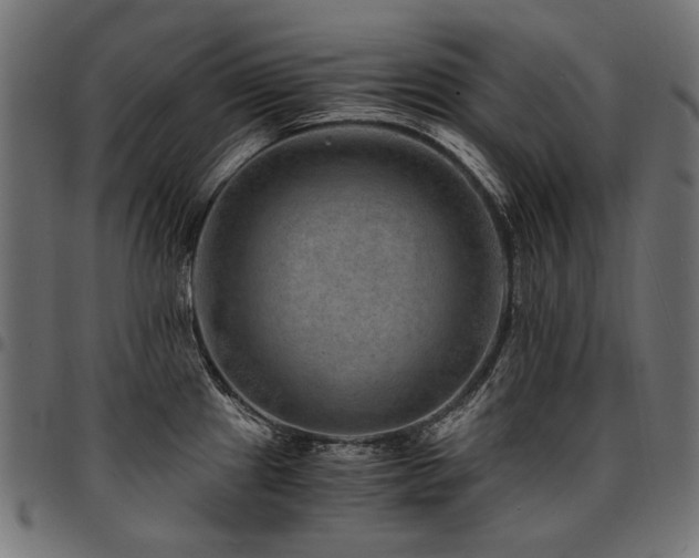 X0000095541241200712141517