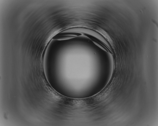 X0000095541242200712141517