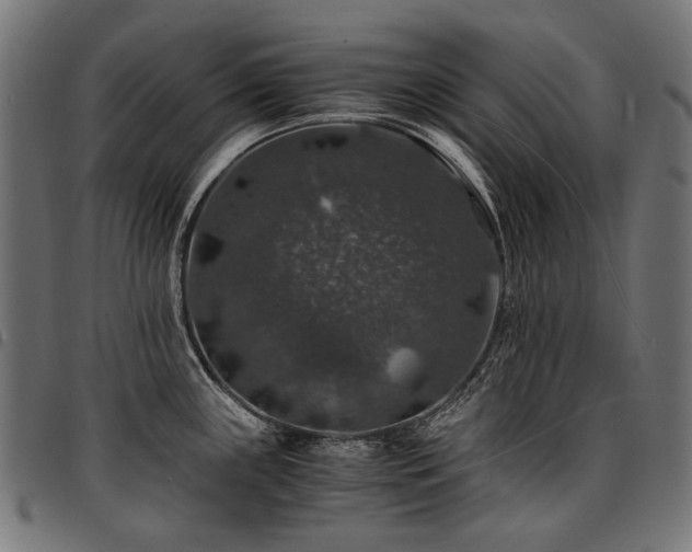 X0000095541243200712141517