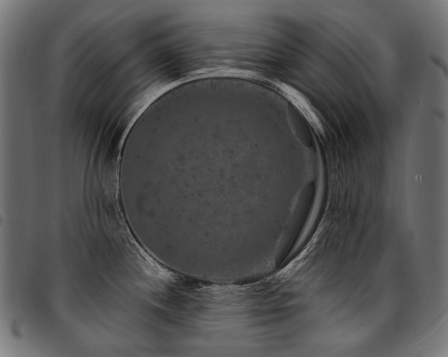 X0000095541244200712141517