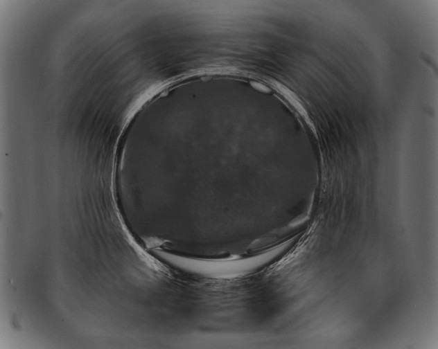 X0000095541245200712141517