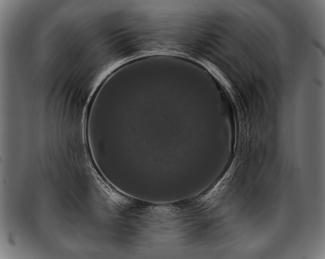 X0000095541246200712141517