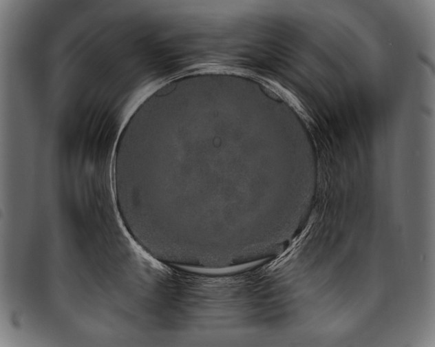 X0000095541247200712141517