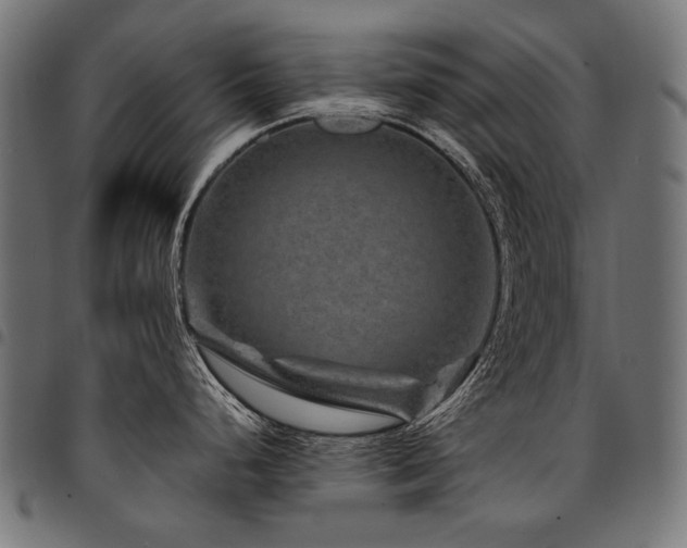 X0000095541248200712141517