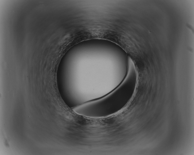 X0000095541249200712141516