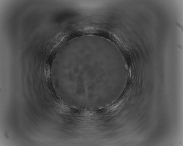 X0000095541251200712141516