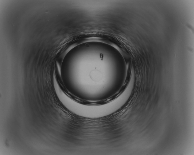 X0000095541252200712141516