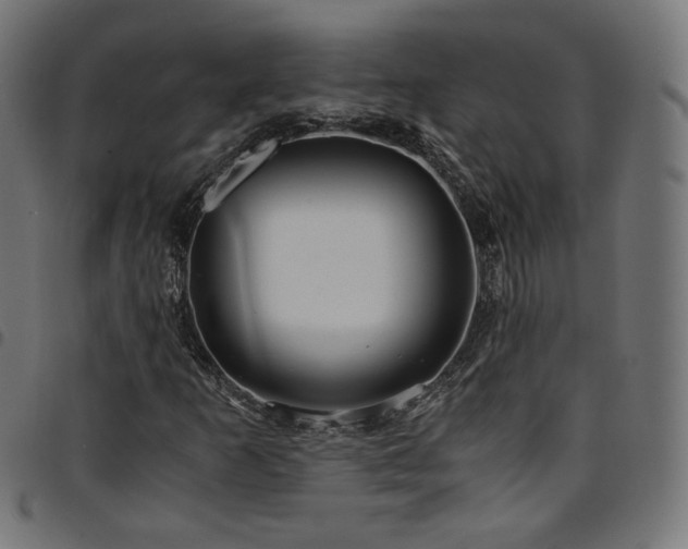 X0000095541253200712141516