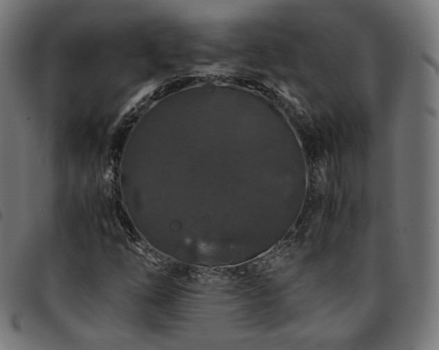 X0000095541254200712141516