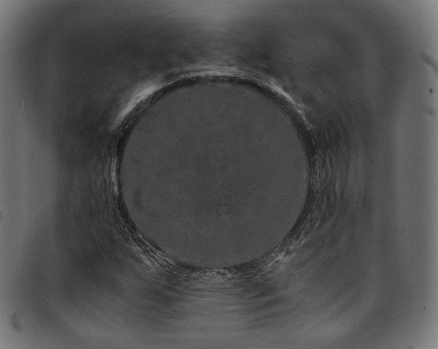 X0000095541255200712141516