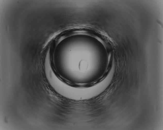 X0000095541256200712141516