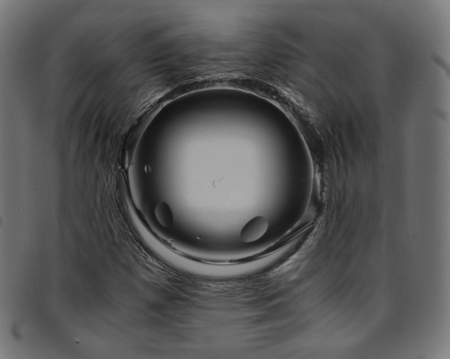 X0000095541257200712141516