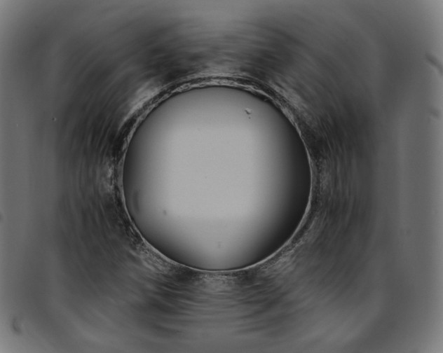 X0000095541258200712141516