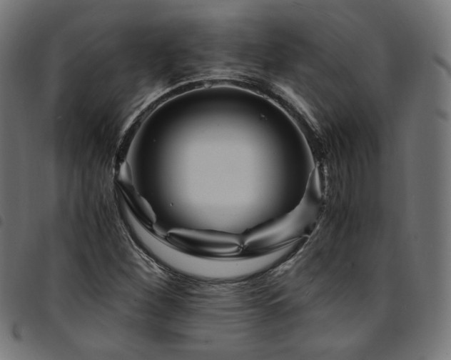 X0000095541260200712141516