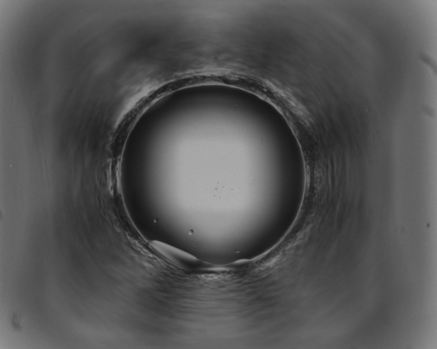 X0000095541262200712141516