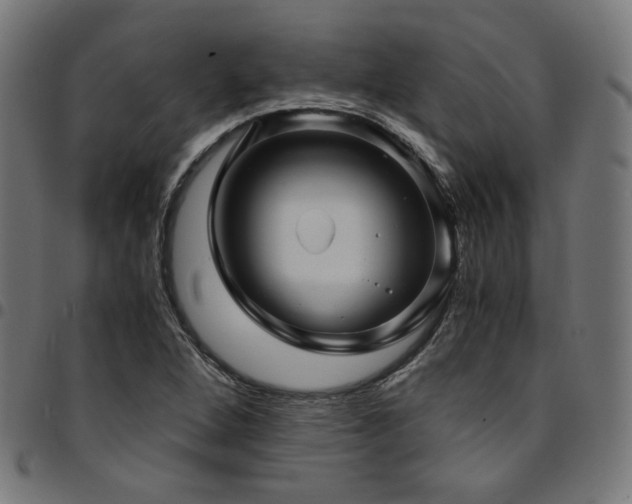 X0000095541264200712141516