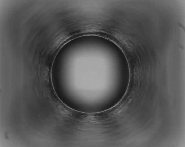 X0000095541265200712141516