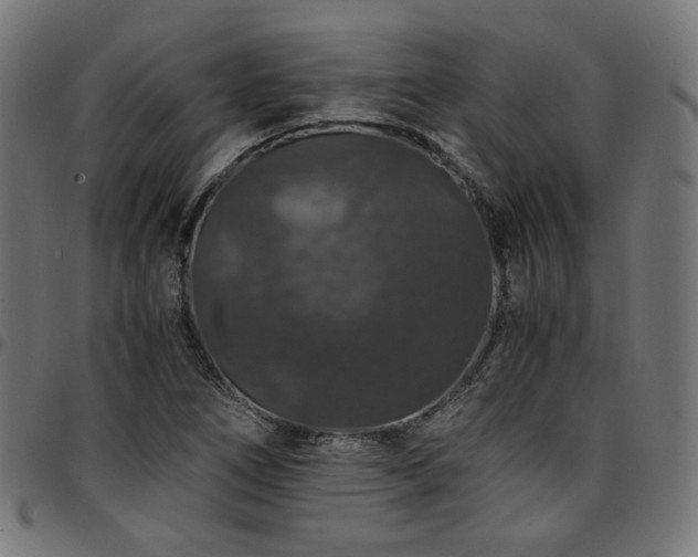 X0000095541266200712141516