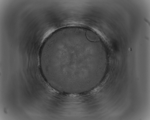 X0000095541267200712141516